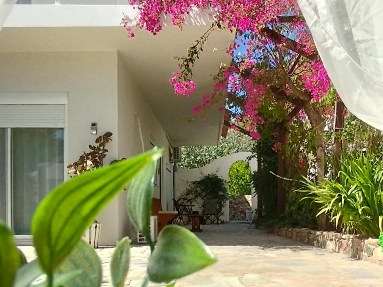 דירות Livadia  Marilen מראה חיצוני תמונה